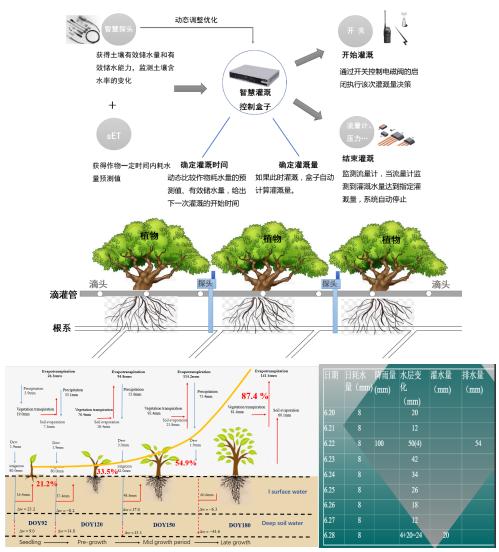 智慧农业灌溉及智慧园林关键技术
